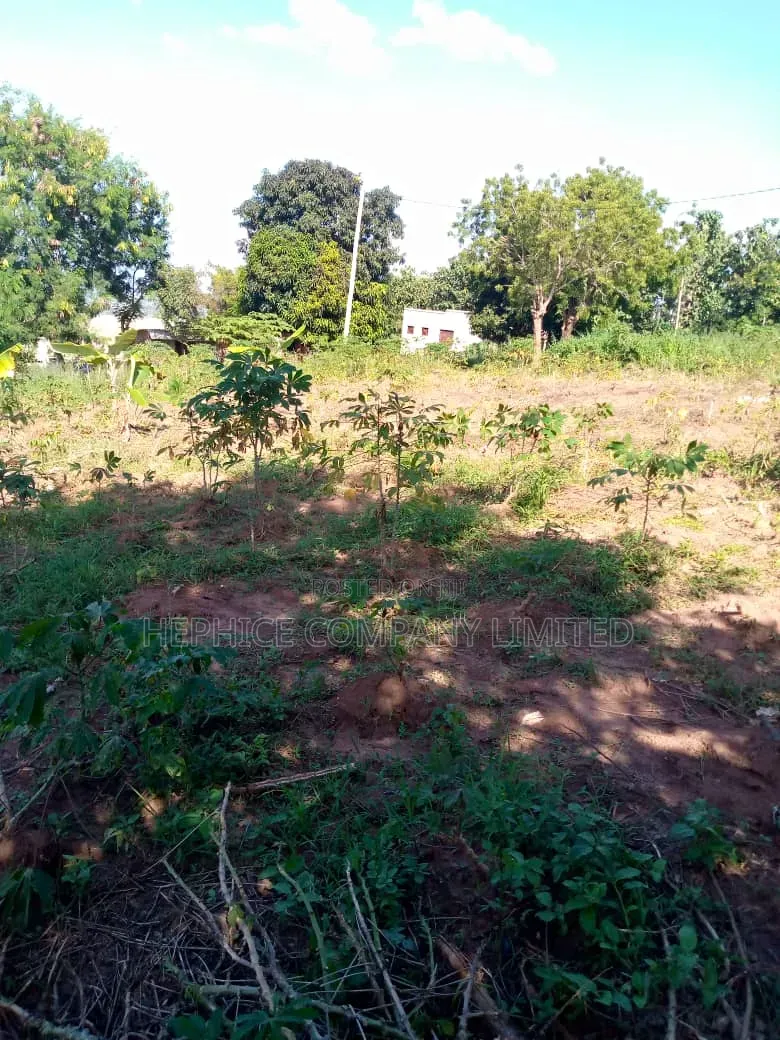 Kiwanja Kinauzwa Kifuru Kinyerezi
