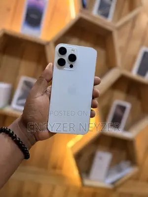 Apple iPhone 15 Pro Max 256 GB Silver