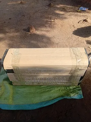Seedlings Trays
