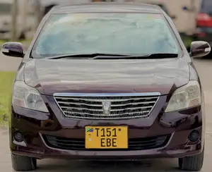 Toyota Premio 2008 Brown