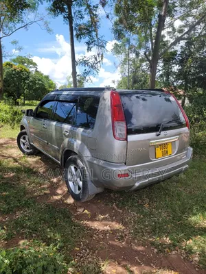 Nissan X-Trail 2005 Silver