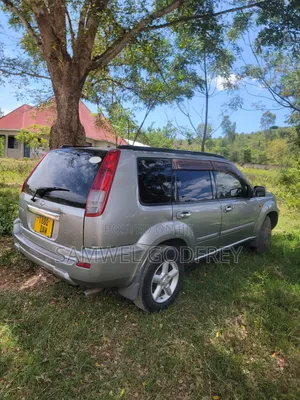Nissan X-Trail 2005 Silver