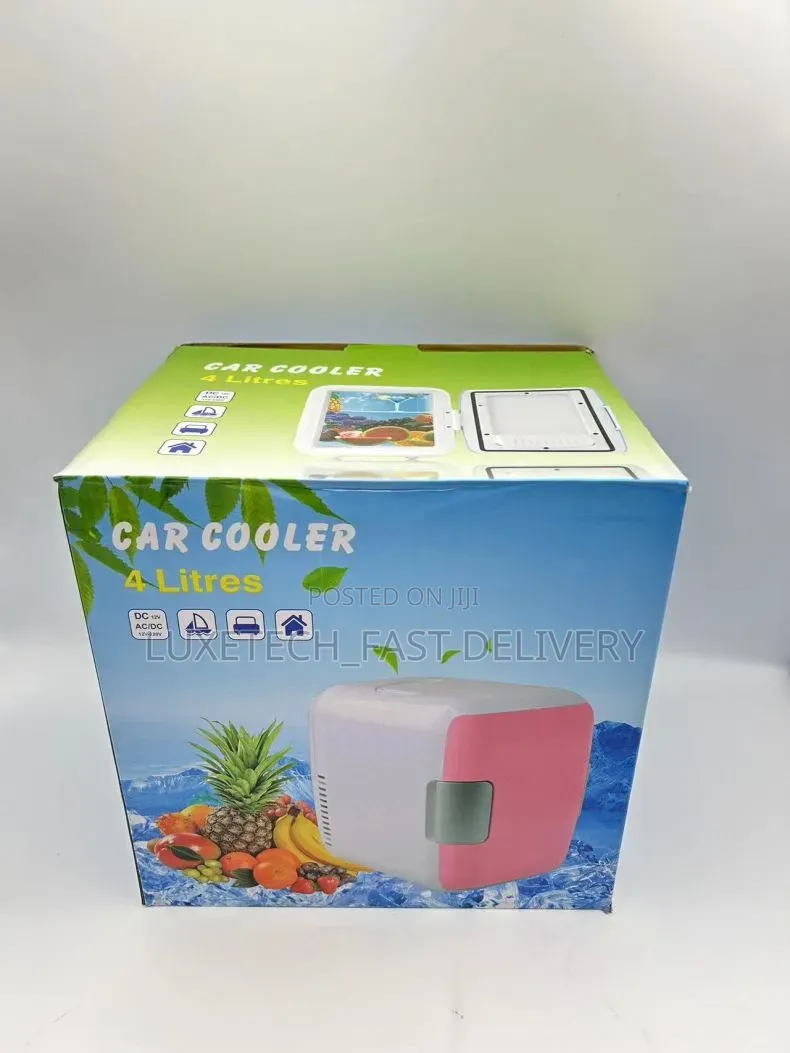 Portable Mini Car/Vehicle Fridge 4l for Cooling and Warmth