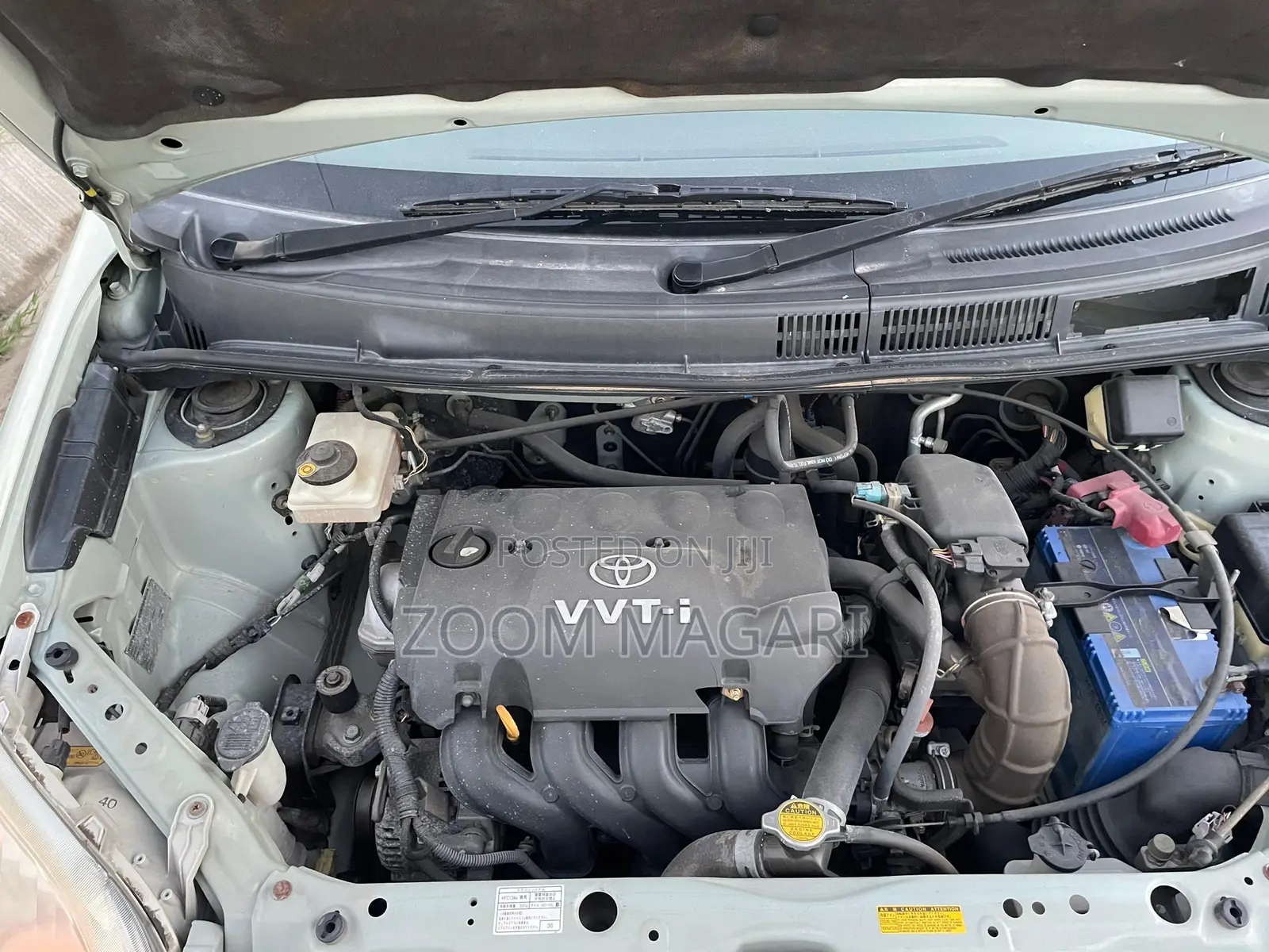 Toyota Raum 2008 Green