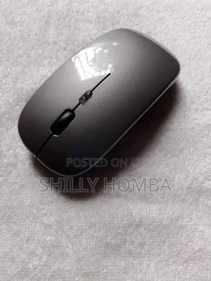 Wireless Rechargeable Mouse