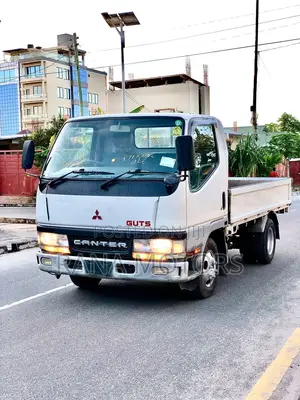 Mitsubishi Canter Guts