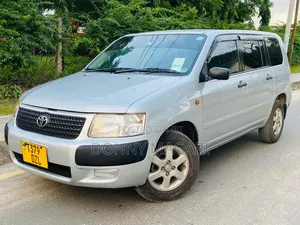 Toyota Probox 2005 Silver