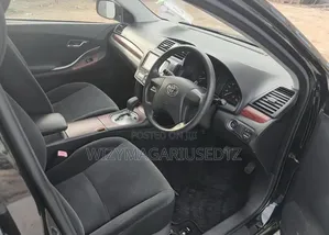 Toyota Premio 2009 Matt Black