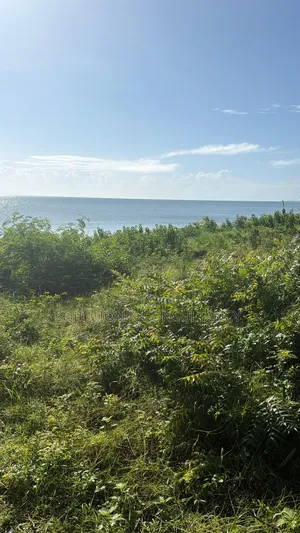 10 Acres Beach Plot for Sale at Bagamoyo