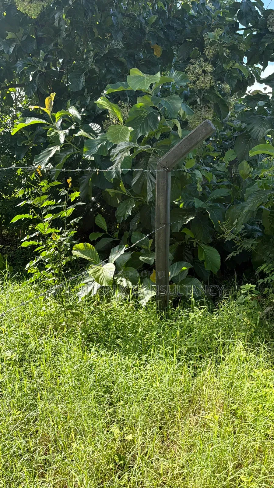 10 Acres Beach Plot for Sale at Bagamoyo