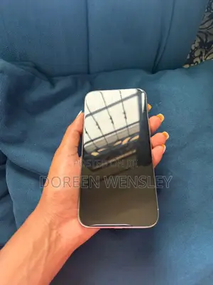 Apple iPhone 15 Pro Max 256 GB Silver