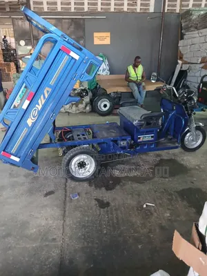 New Tricycle 2026 Blue