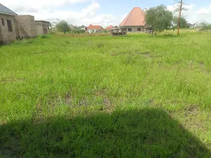 Eneo Linauzwa