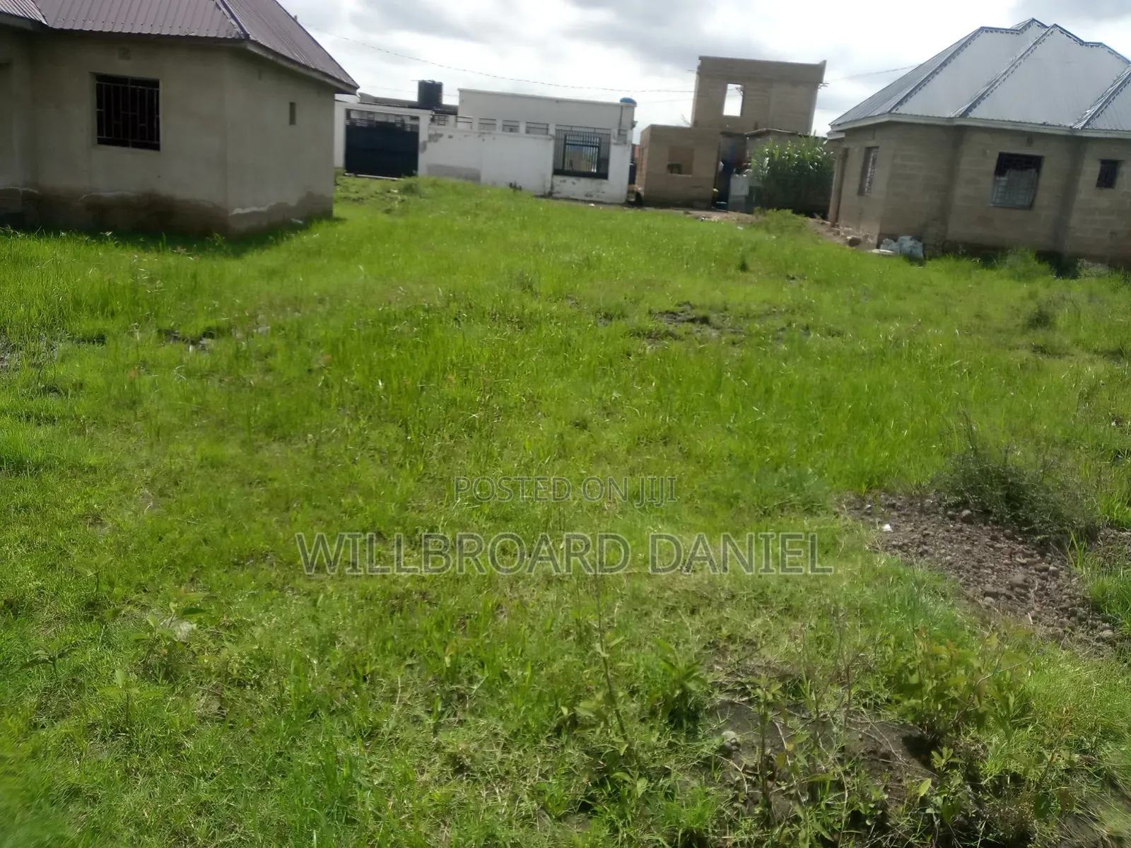 Eneo Linauzwa