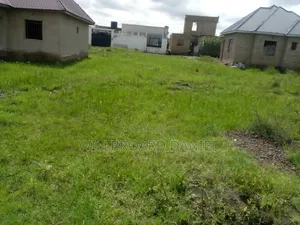 Eneo Linauzwa
