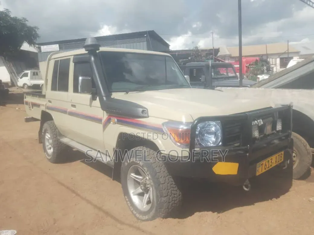 Toyota Land Cruiser 2004 Brown