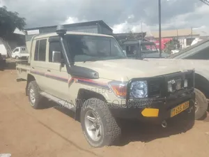 Toyota Land Cruiser 2004 Brown