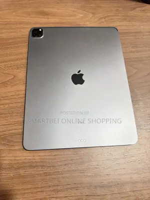 Apple iPad Pro 12.9 (2021) 256 GB Gray