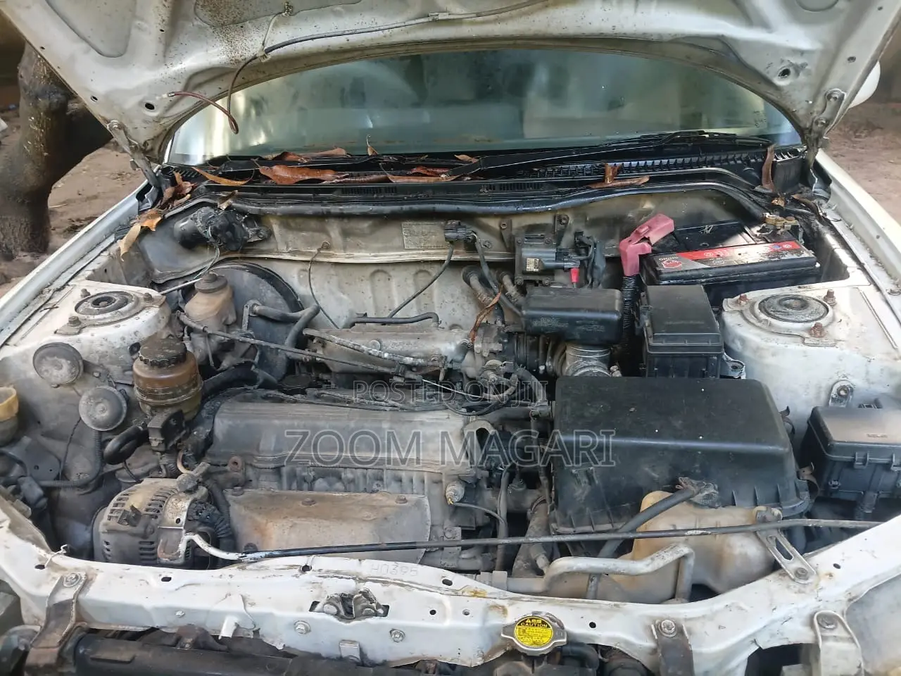 Toyota RAV4 1997 White