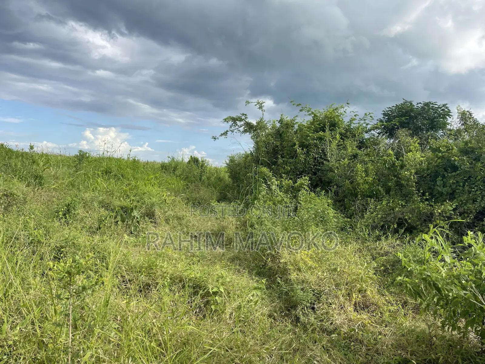Shamba Linauzwa Hekari 35