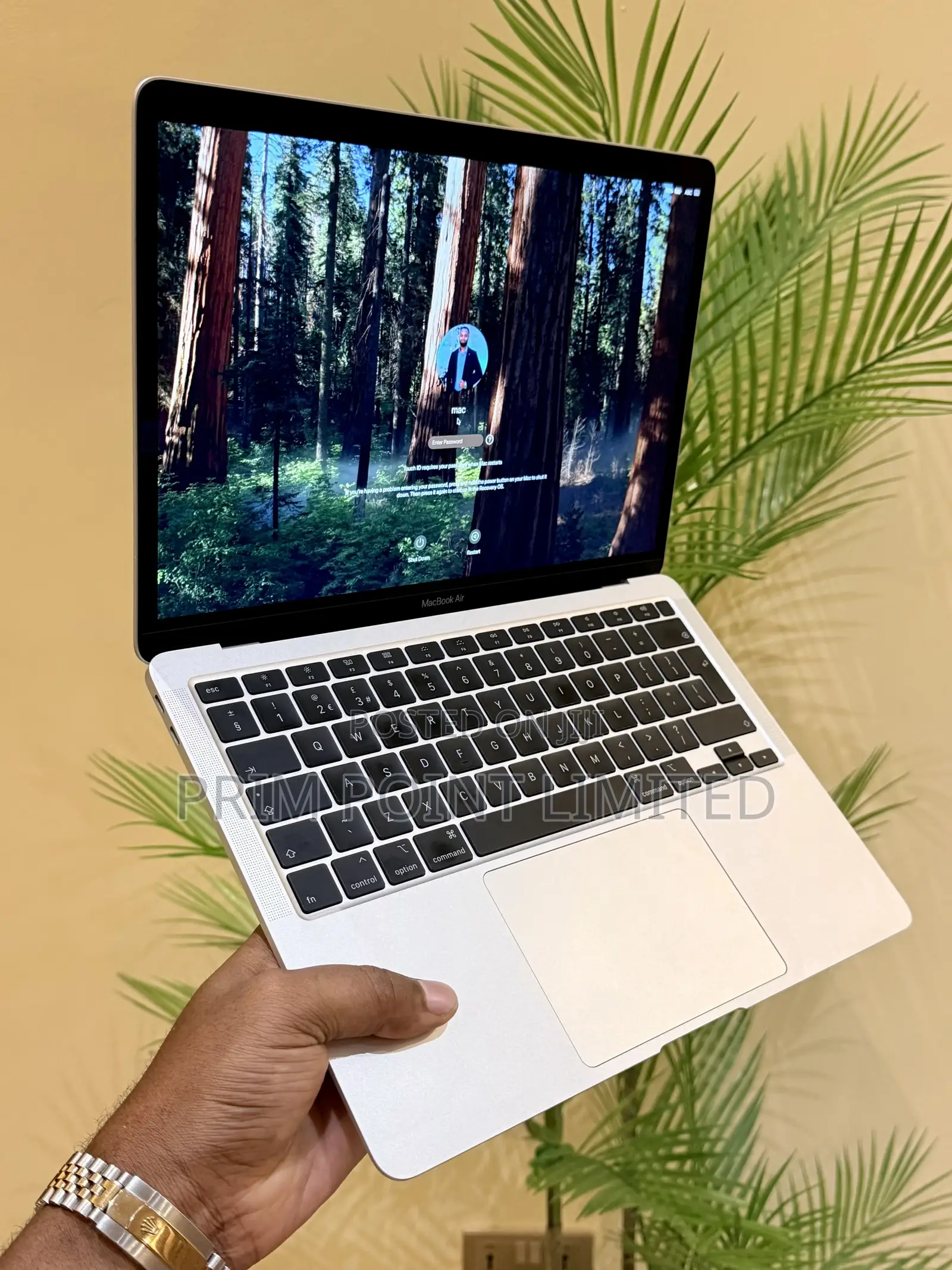 Laptop Apple MacBook Air 2020 8GB Intel Core i3 SSD 256GB