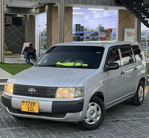 Toyota Probox 2004 Silver
