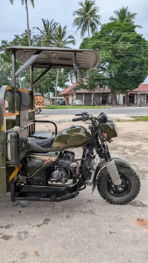 New Bajaj Avenger 220 Street 2025 Green