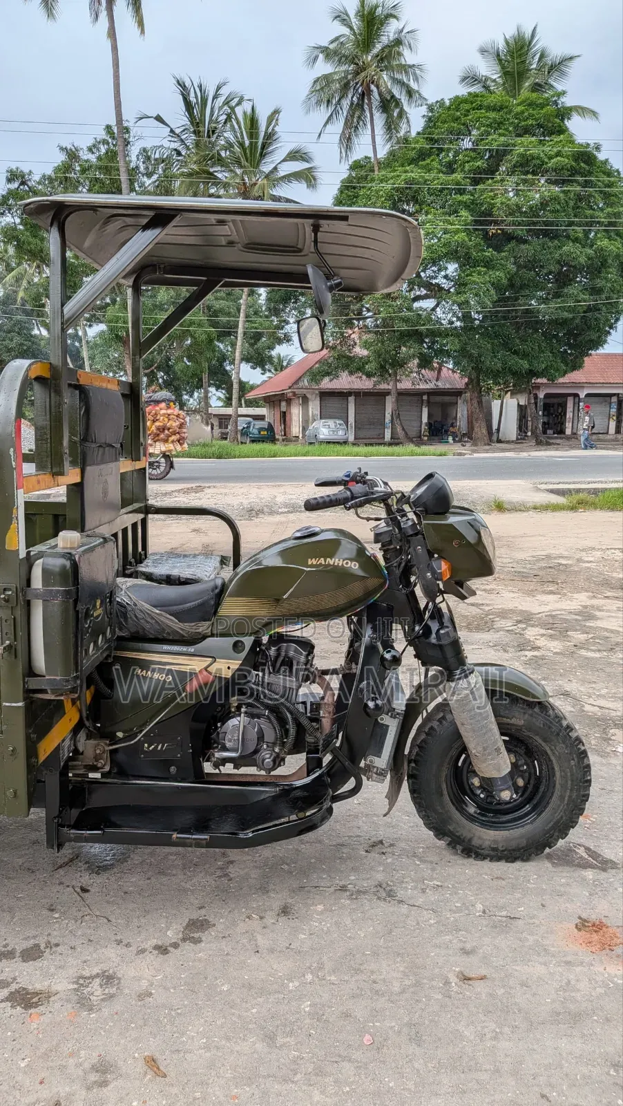 New Bajaj Avenger 220 Street 2025 Green
