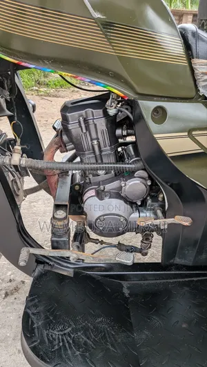 New Bajaj Avenger 220 Street 2025 Green