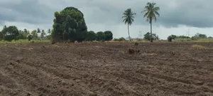 Kiwanja Geza Ulole Kigamboni