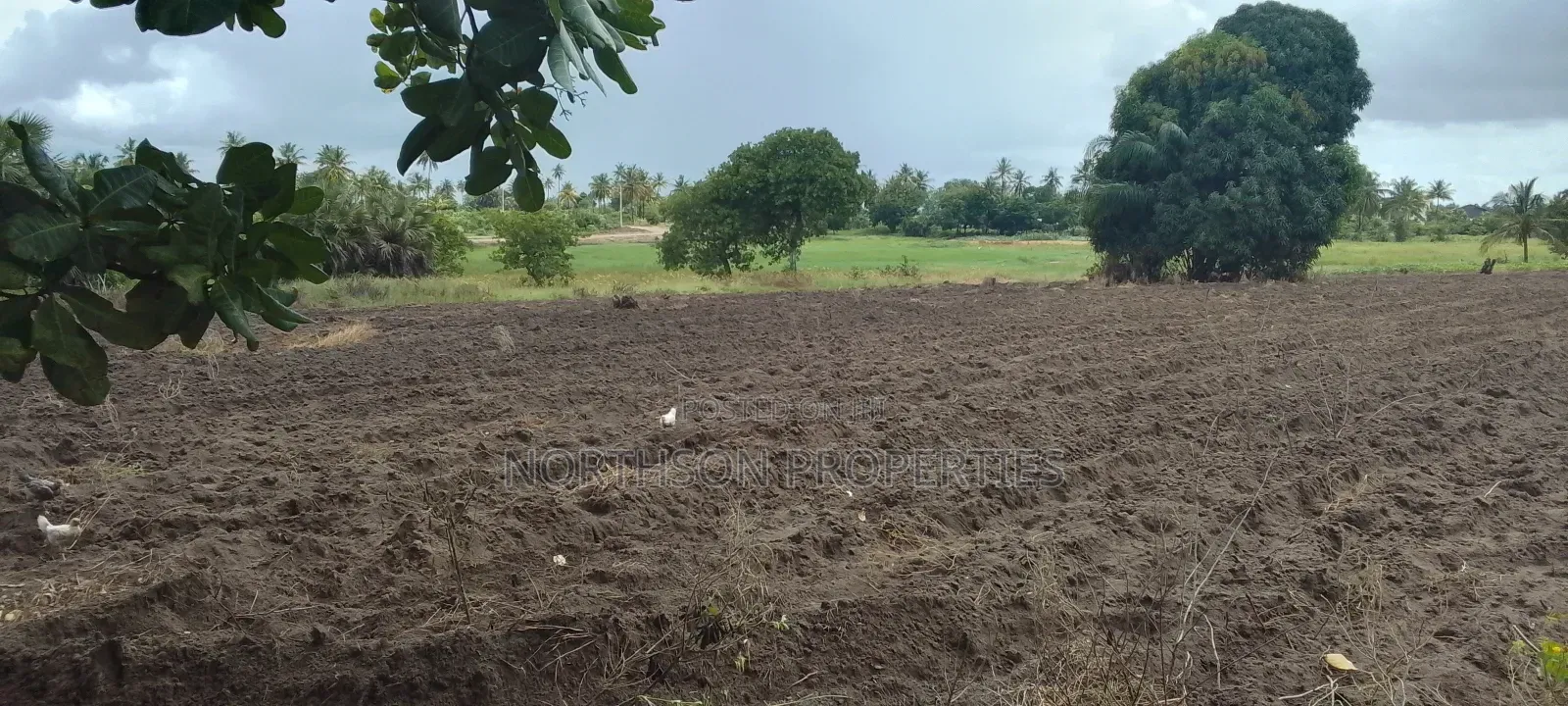 Kiwanja Geza Ulole Kigamboni