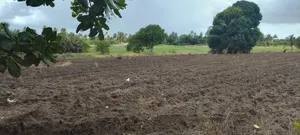 Kiwanja Geza Ulole Kigamboni