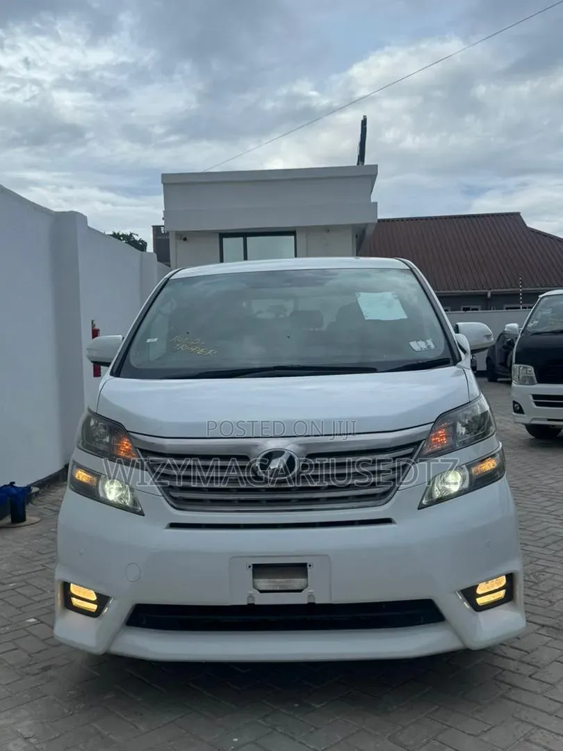 Toyota Vellfire 2009 Pink