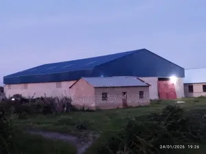 Godown Inapangishwa Ngogwa, Kahama
