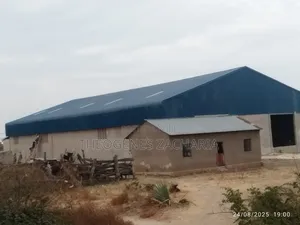 Godown Inapangishwa Ngogwa, Kahama