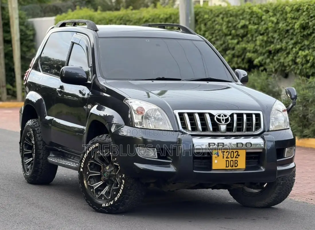 Toyota Land Cruiser Prado 2005 Gray