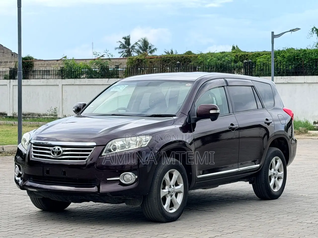 Toyota Vanguard 2008 Brown