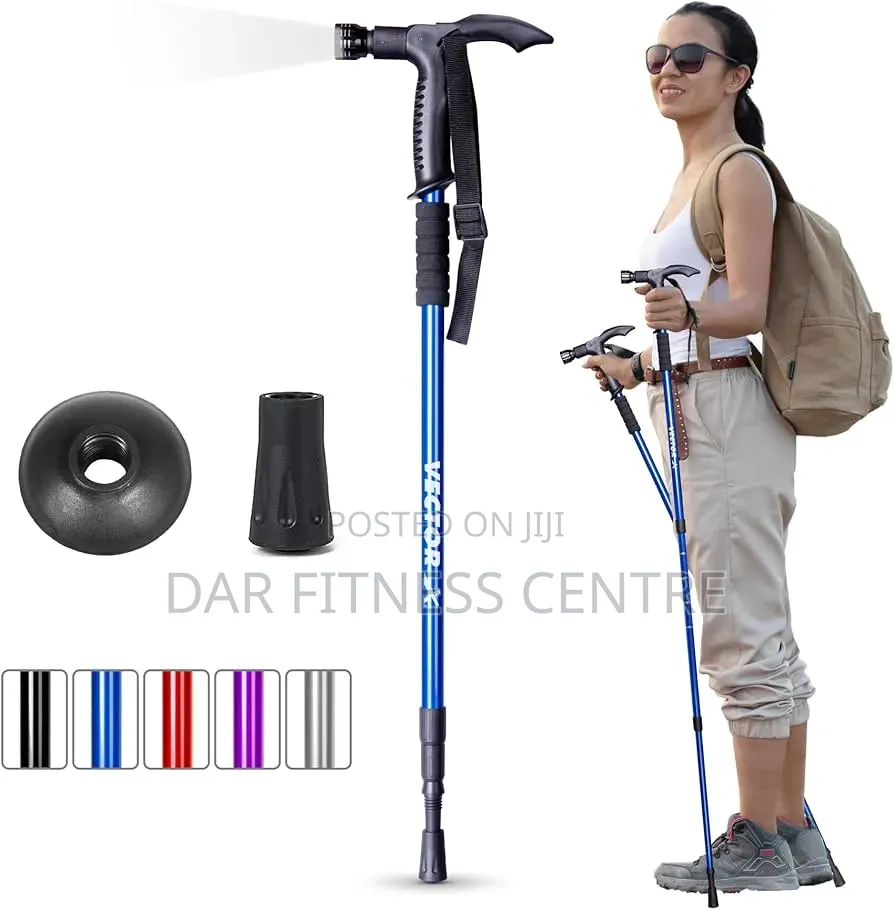 Hiking Stick.