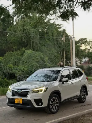 Subaru Forester 2019 White