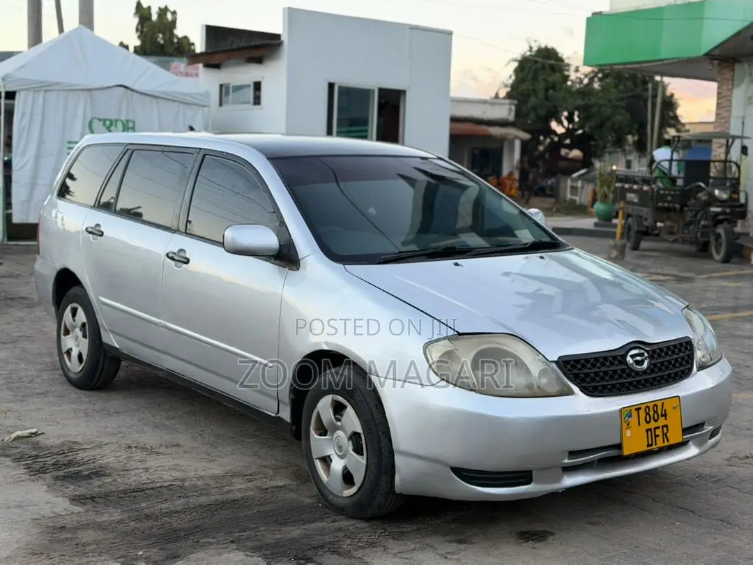 Toyota Corolla Fielder 2005 Silver
