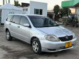 Toyota Corolla Fielder 2005 Silver