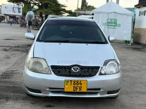 Toyota Corolla Fielder 2005 Silver