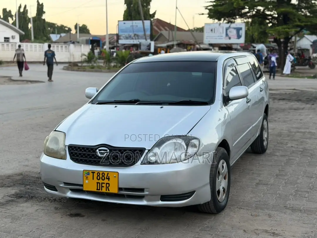 Toyota Corolla Fielder 2005 Silver