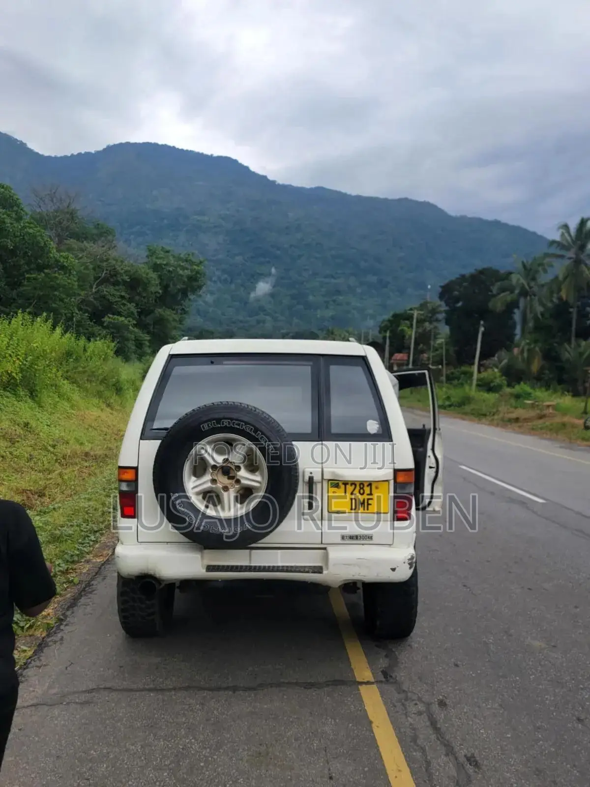 Isuzu Trooper 2001 White