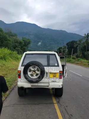 Isuzu Trooper 2001 White