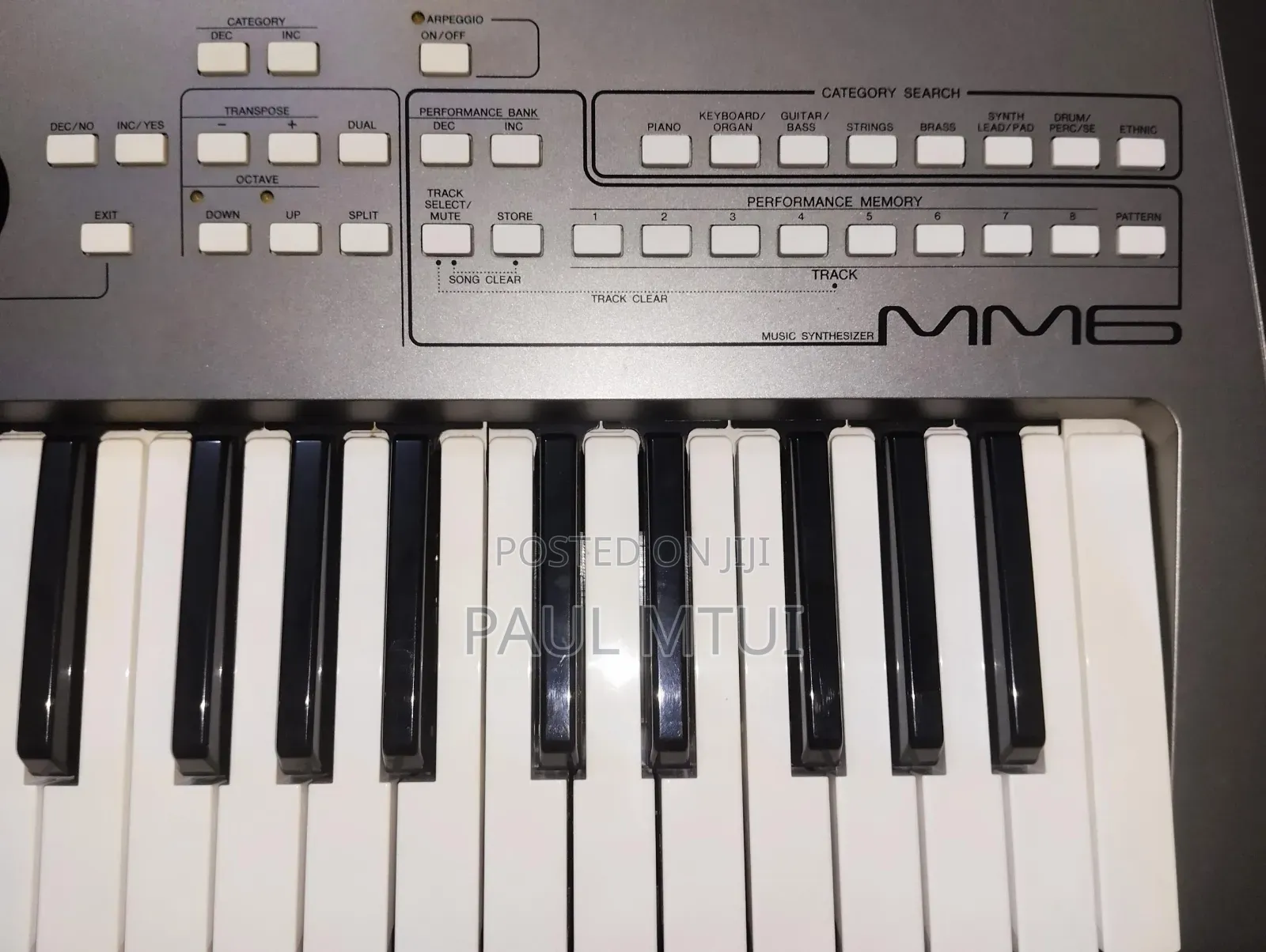 Yamaha Mm6