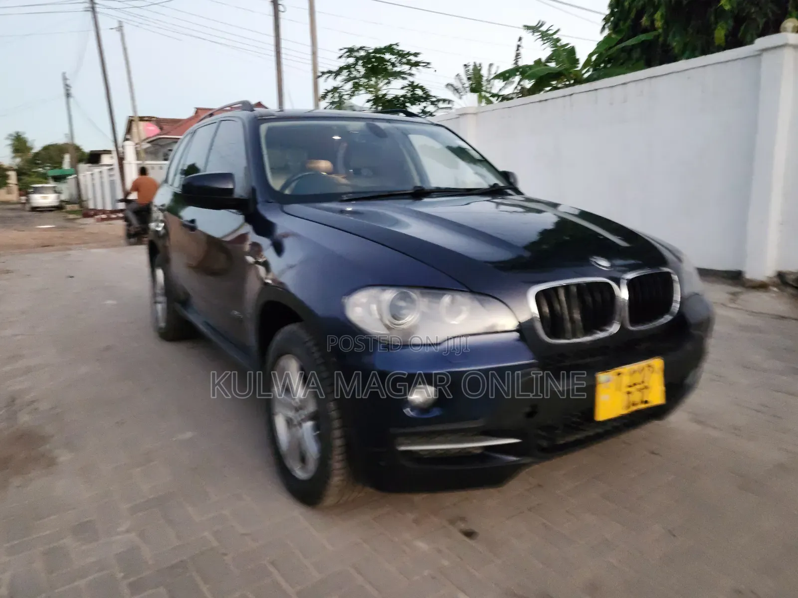 BMW X5 2011 Blue