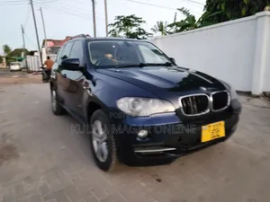 BMW X5 2011 Blue
