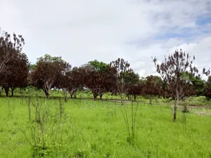 Plot for Investment/Eneo La Uwekezaji