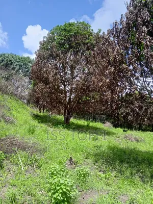 Plot for Investment/Eneo La Uwekezaji